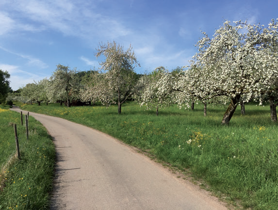 Bild6